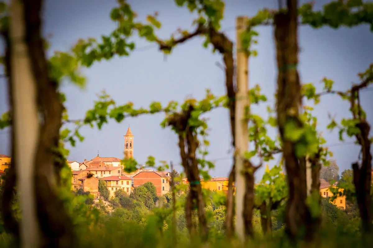 Tasting and Discover Autumn in Oltrep&ograve; Pavese. Foto: Facebook Consorzio Vini Oltrepo Autunno in Oltrep&ograve;? Il test dei professionisti