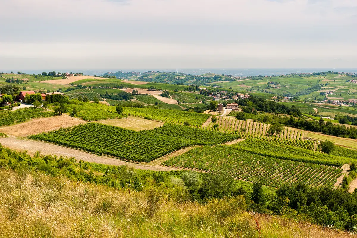 Le colline dell'Oltrep&ograve; Pavese Voghera fa da teatro ad un weekend dedicato al Pinot Noir