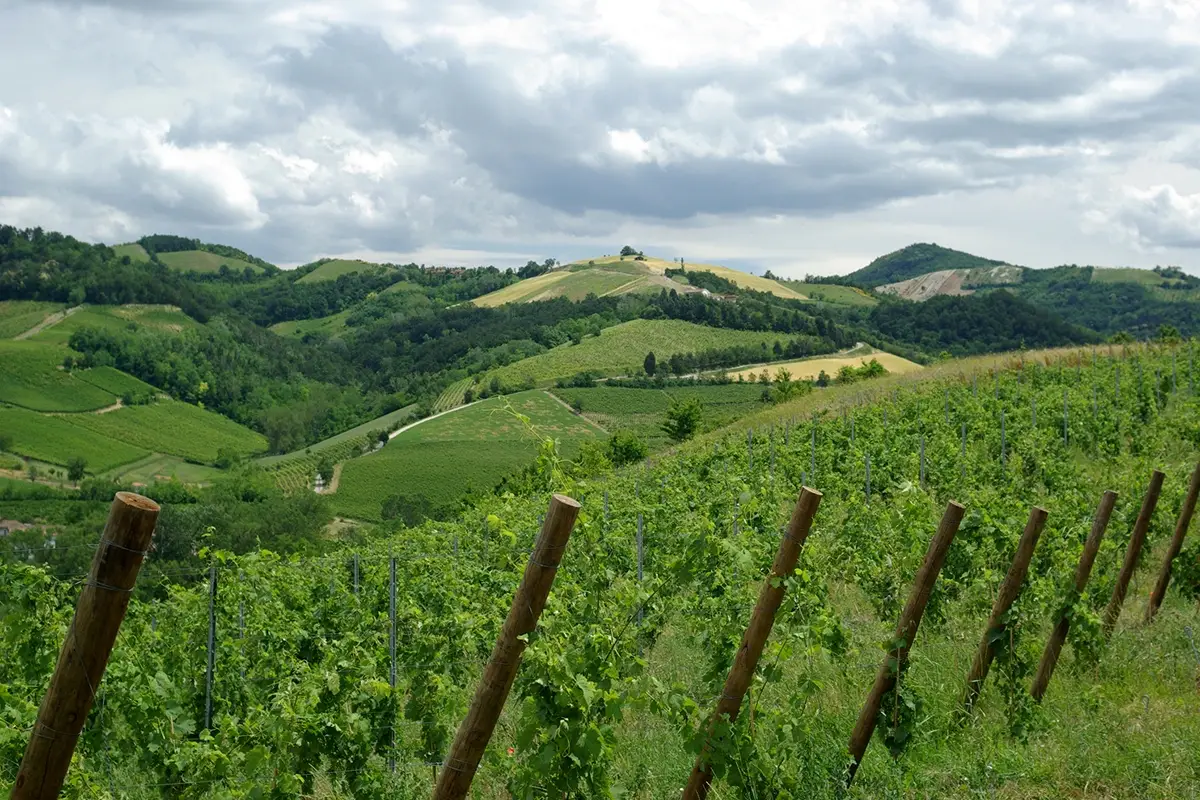 Uno scorcio dell'Oltrep&ograve; Pavese La promozione vincente di un territorio, Oltrep&ograve;, dopo il Giro la Mille Miglia?