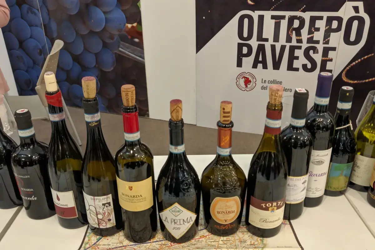 Oltrep&ograve; Pavese: andamento positivo nonostante le difficolt&agrave;