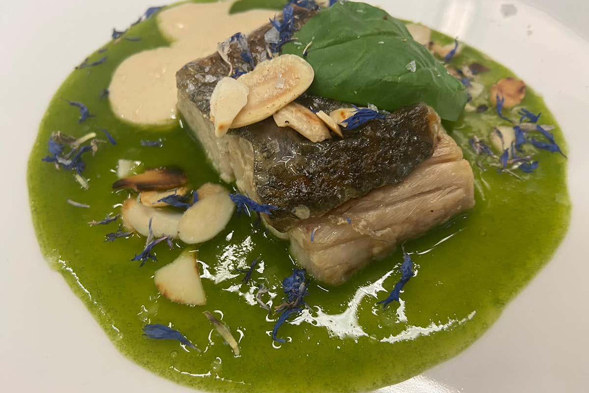 Ombrina, spinaci, salsa tonné e mandole La cucina romana con quel tocco in più a Le Tamerici