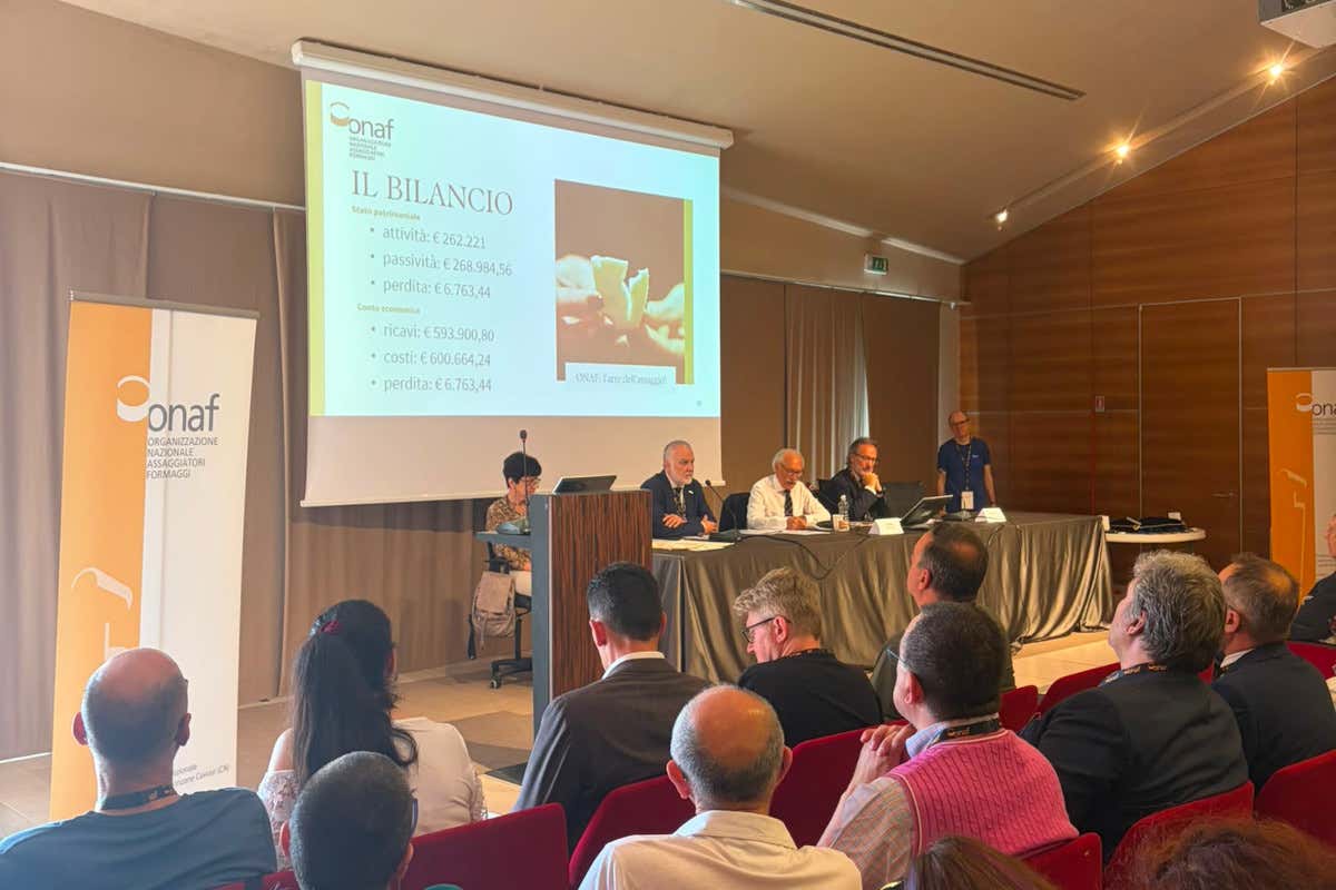 Onaf, eletto il nuovo Consiglio direttivo e approvato il bilancio 2025