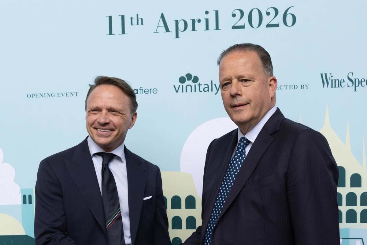 Il vino italiano al bivio: a OperaWine il confronto tra export e nuovi scenari