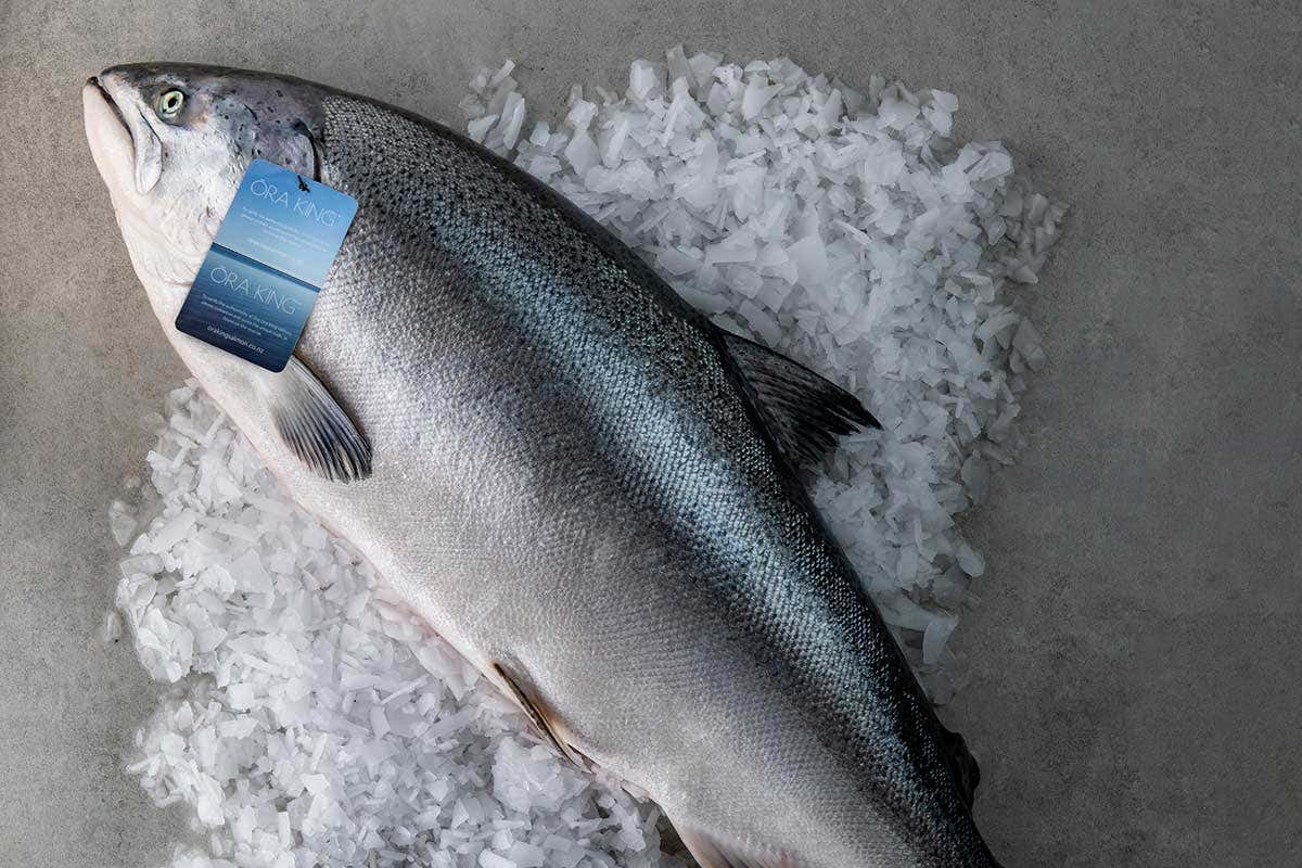 Il salmone Ora King &egrave; frutto di un allevamento attento durato 25 anni Il salmone Ora King dalla Nuove Zelande arriva sulle tavole degli italiani