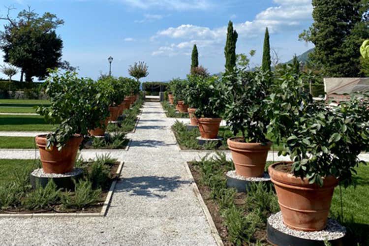 Orangerie, un progetto storico che prende vita - Trieste, al Parco di Miramarenasce la nuova Orangerie Orangerie, un progetto storico che prende vita - Trieste, al Parco di Miramarenasce la nuova Orangerie