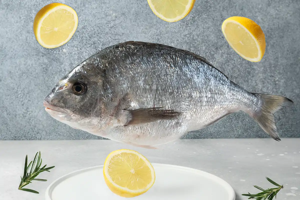Orata Orata e branzino, qualit&agrave; e tracciabilit&agrave;La competizione estera non spaventa