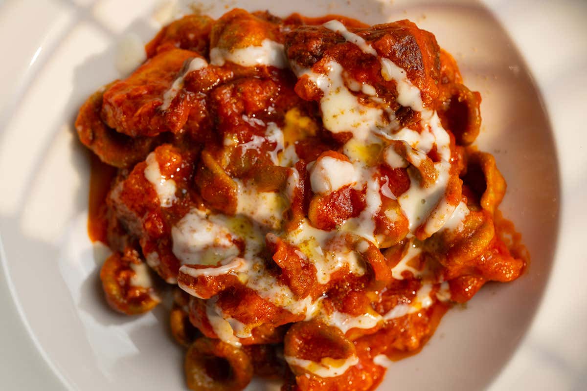 Orecchiette di grano arso, ragù di suino nero e peperone crusco - Tenuta Tedone Consolini