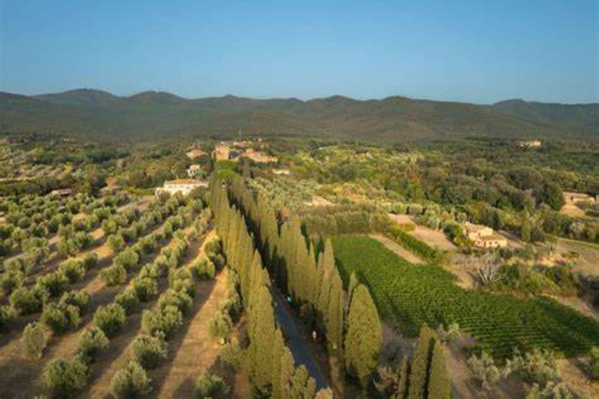 Puglia e Toscana si incontrano a San Giovanni Rotondo per celebrare l'Ornellaia