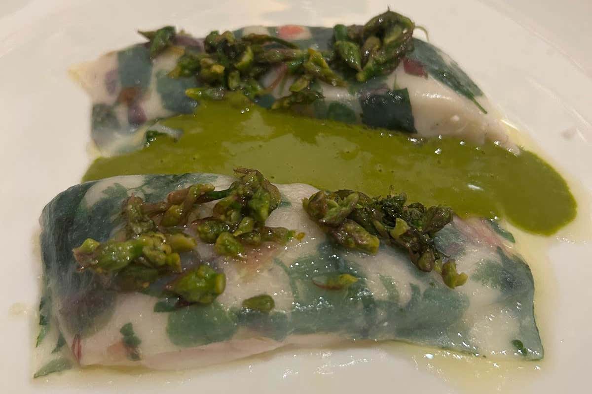 Seabass “aiguillette” squid and melted herbes