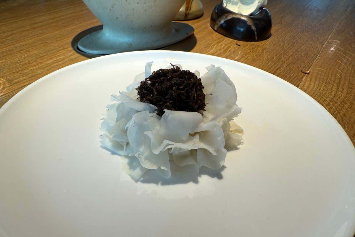 Orma di Roy Caceres: a Roma un viaggio sensoriale tra i sapori del mondo