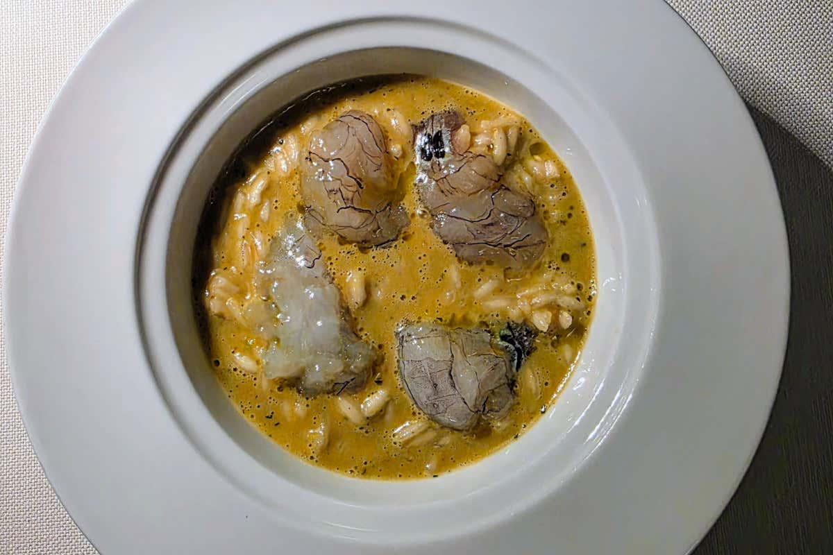 Il ristorante che racconta la cucina veneta con tocchi d’Asia