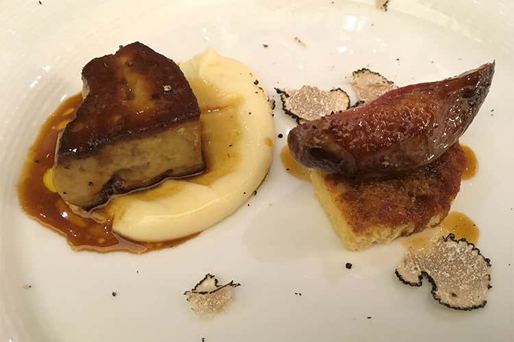 Ornellaia espressione del territorio I segreti delle sue basi e dei vigneti