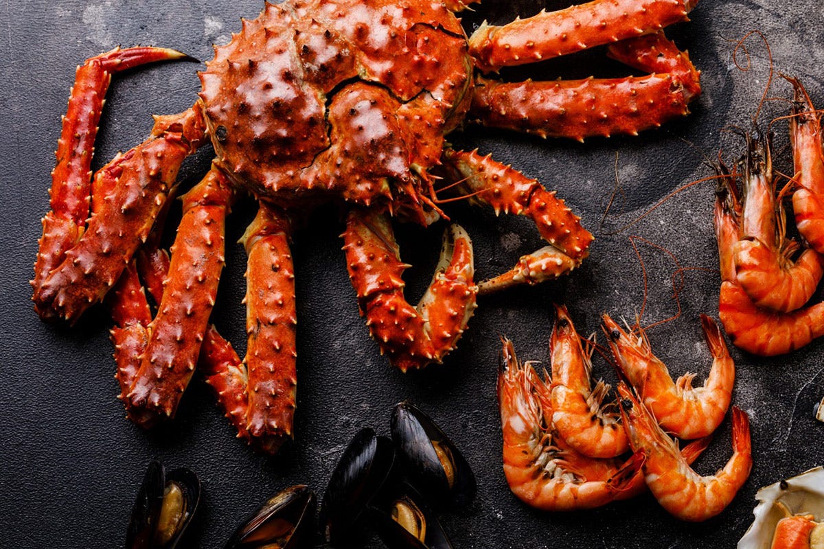 King Crab Orobica Pesca: qualità, freschezza e filiera controllata
