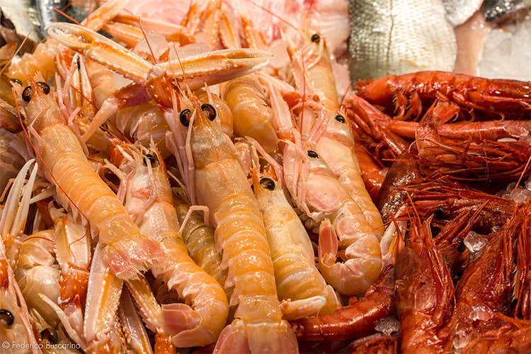 Nutriente e adatto ad ogni preparazione  Il pesce &egrave; il re dei menu delle feste