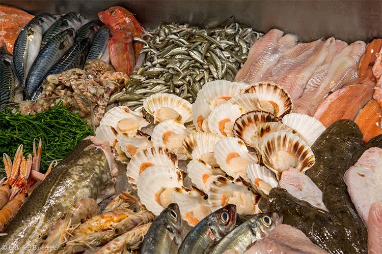 Nutriente e adatto ad ogni preparazione  Il pesce &egrave; il re dei menu delle feste