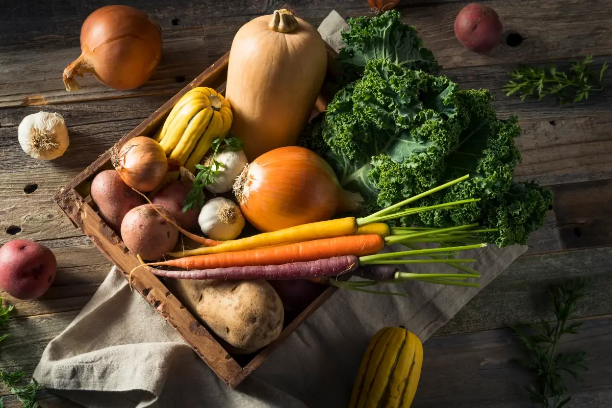 Cosa mangiare in autunno-inverno? 