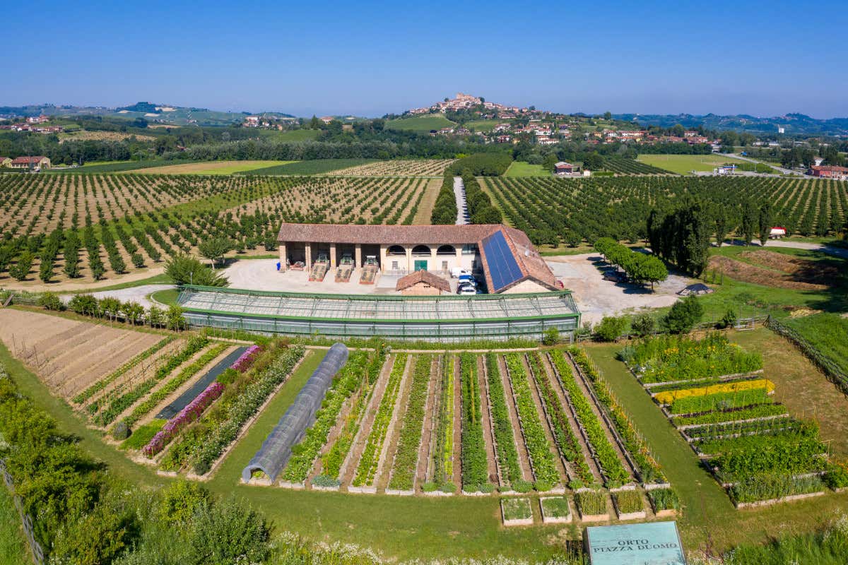 L'orto di Piazza Duomo (foto Fusaro) Nelle Langhe, ma senza frontiere: Piazza Duomo di Enrico Crippa