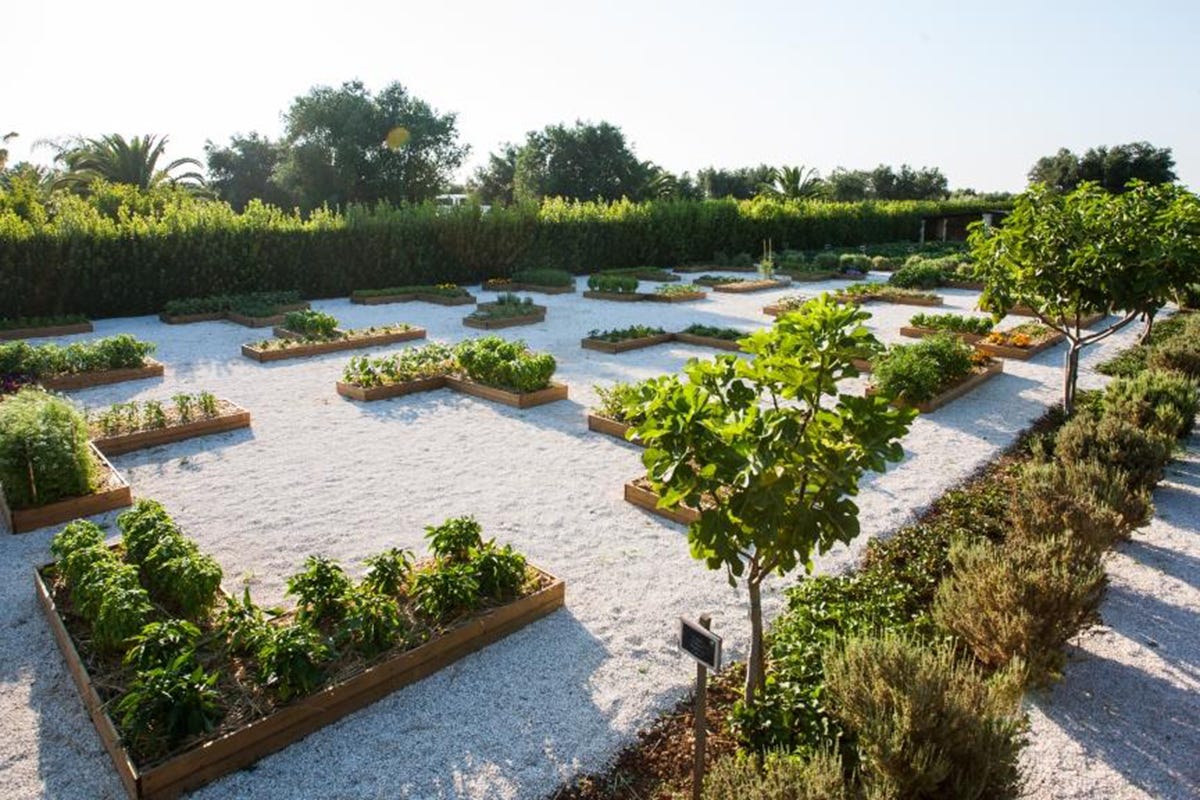 L'orto biodinamico Masseria eco chic in Puglia? Tappa a Tenuta Moreno
