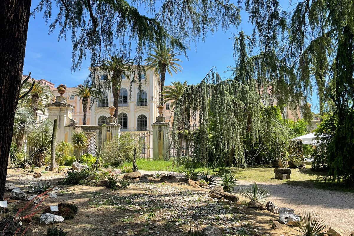 Prossimo appuntamento con Ortidea 2021 L&rsquo;Era di maggio tra vino e piante Luca Maroni all&rsquo;Orto Botanico