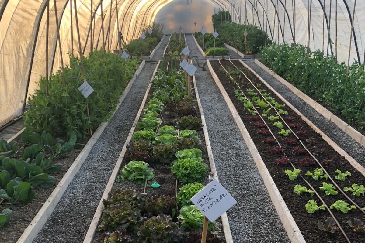 Ca' Matilde, menu degustazione a sorpresa nella campagna emiliana