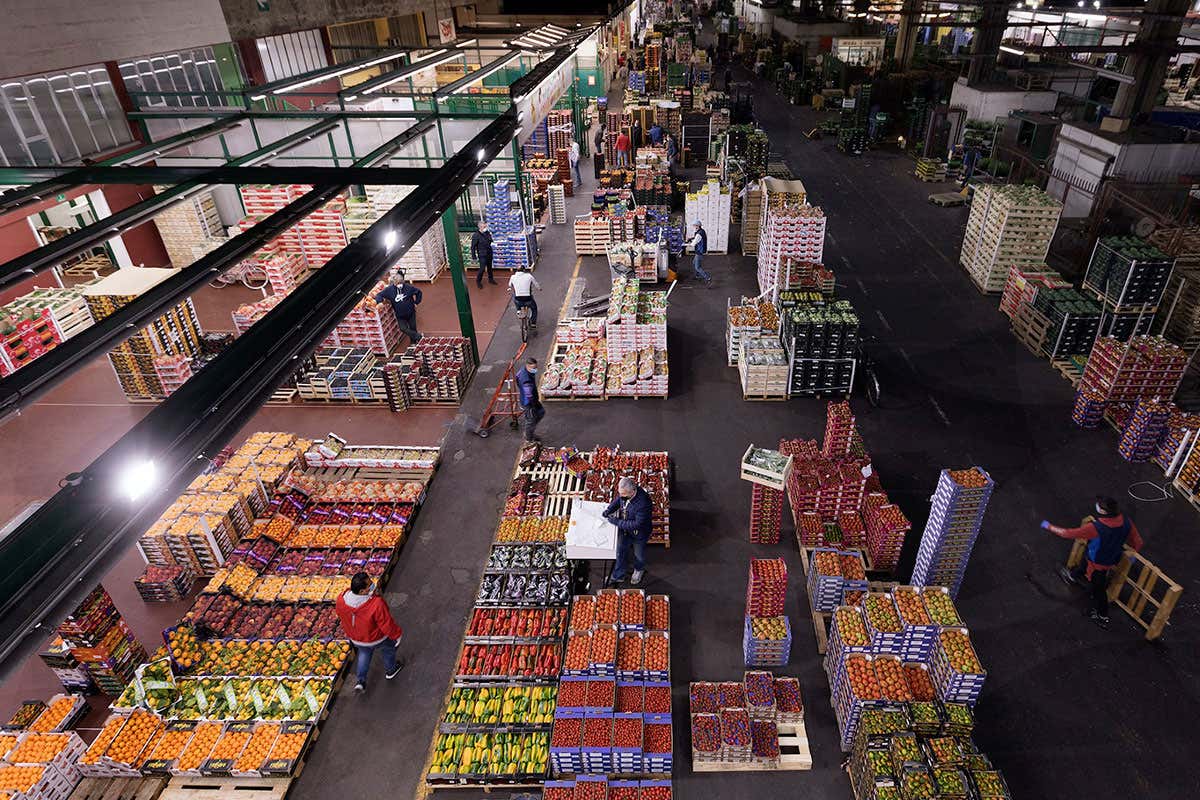 Lo spazio interno dell'Ortomercato di Milano Le cucine di Milano Ristorazionetrovano casa all'Ortomercato Lo spazio interno dell'Ortomercato di Milano Le cucine di Milano Ristorazionetrovano casa all'Ortomercato