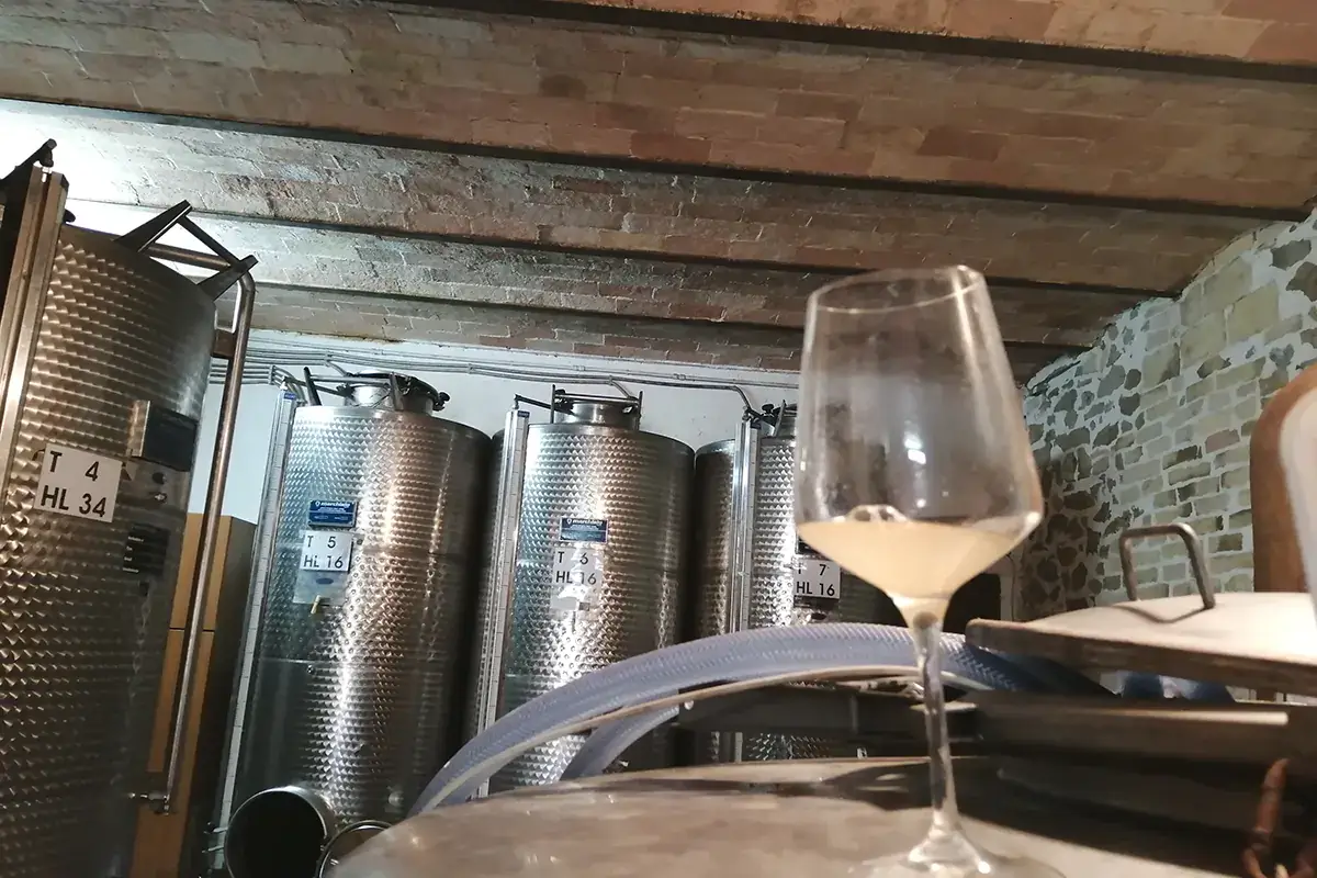 24 ristoranti e circa 30 cantine coinvolte nella manisfestazione Orvieto ci riprova: arte, cibo e territorio per rilanciare la proposta enogastronomica