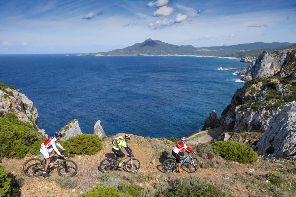 Green Road Award 2025: al via la decima edizione dell'Oscar del cicloturismo Green Road Award 2025: al via la decima edizione dell'Oscar del cicloturismo