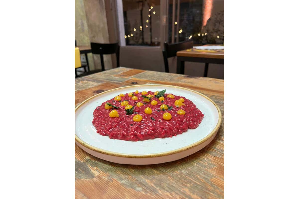 Accoglienza cucina di pensiero e conto intelligente: i 3 assi dell’Osteria Fiaschetto