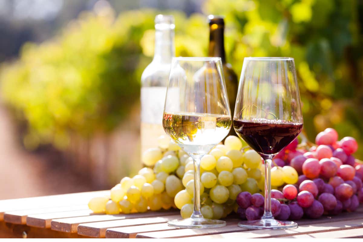 Un bianco e un rosso della Georgia