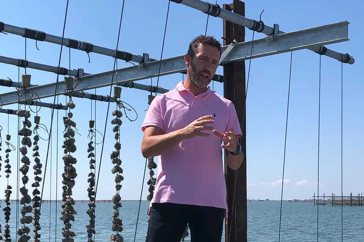 Alessio Greguoldo, nel 2016 ha avviato l'allevamento di ostriche rosa Riso e ostriche rosa, sul Delta del Po le eccellenze vengono dall'acqua
