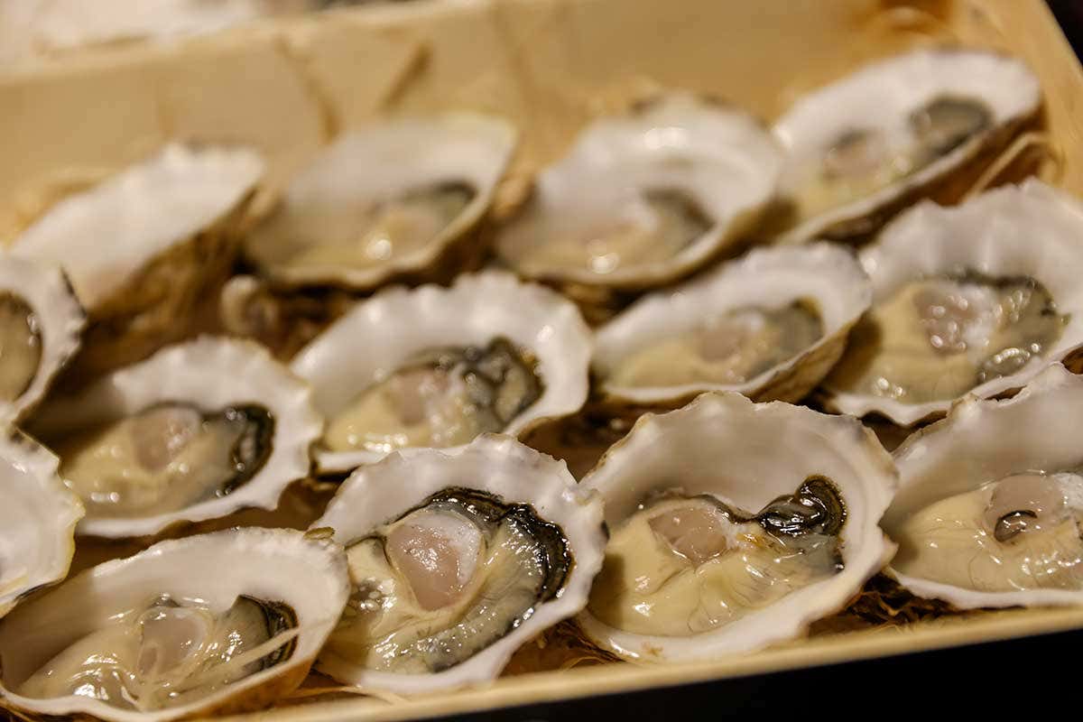 Ostriche sarde Mamèr I 15 anni del Gallo Cedrone, in un libro con 50 ricette per celebrare l'attività
