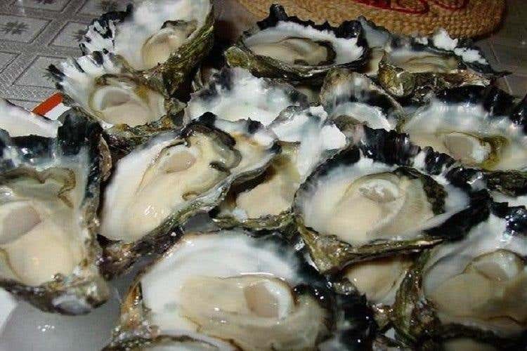 Ostriche - Le scuse ?? di Zaia sui topi vivi   Scopri i cibi cinesi proibiti