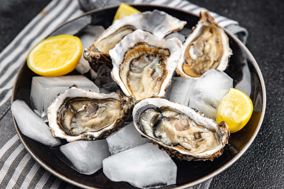 Per i danni del granchio blu, il governo vuole ridurre l'Iva delle ostriche al 10%