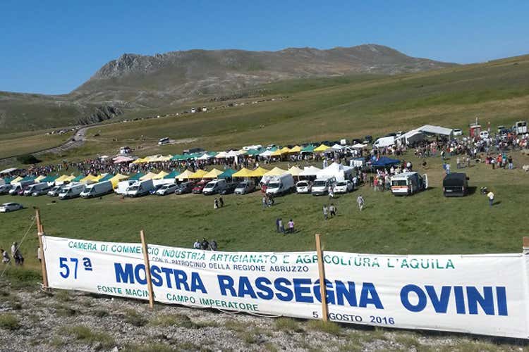 (FIERA RASSEGNA OVINI DI CAMPO IMPERATORE)
