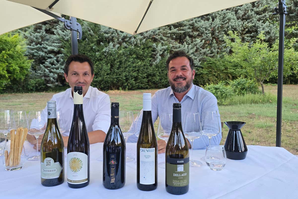 Valérie Bossi Fedrigotti brinda con il Pinot Bianco Oxenfeld