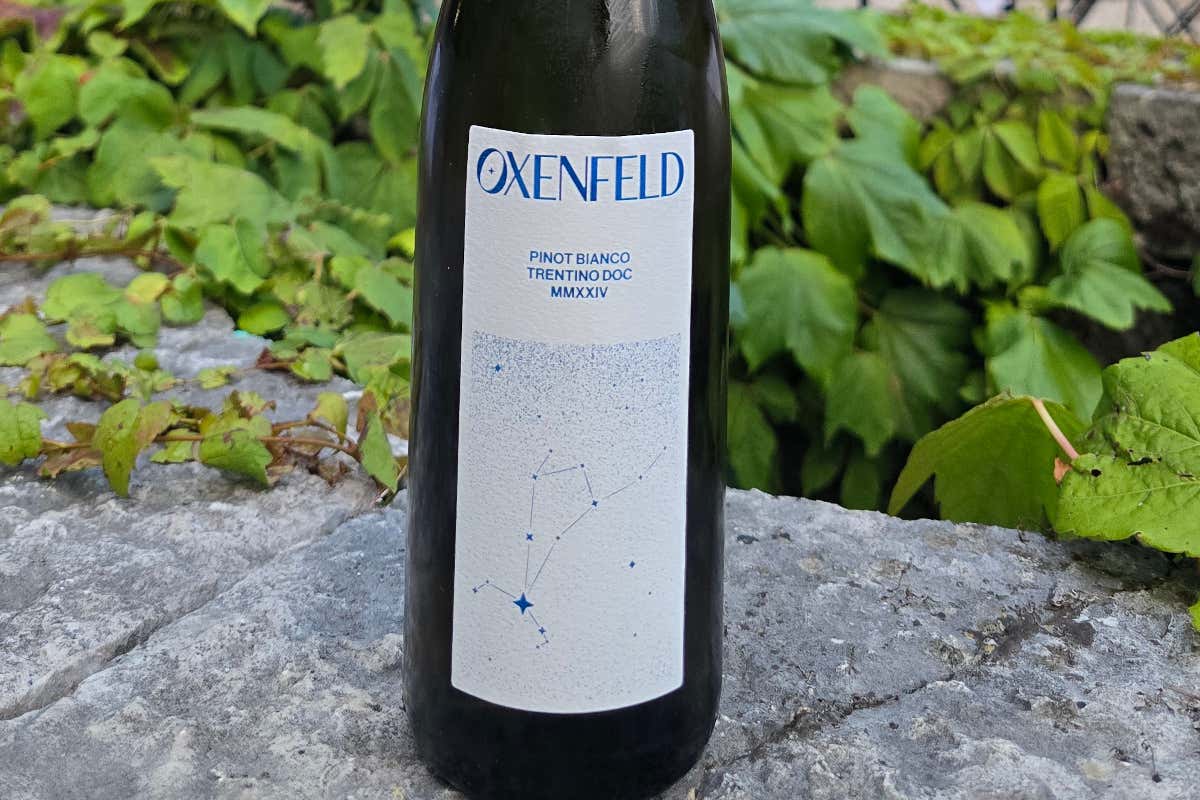 Valérie Bossi Fedrigotti brinda con il Pinot Bianco Oxenfeld