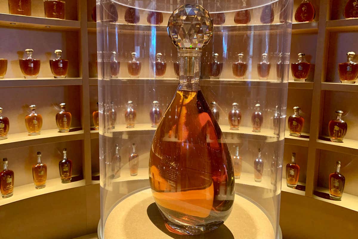 Berta: il nuovo museo multimediale racconta tre generazioni di grappa
Berta: il nuovo museo multimediale racconta tre generazioni di grappa