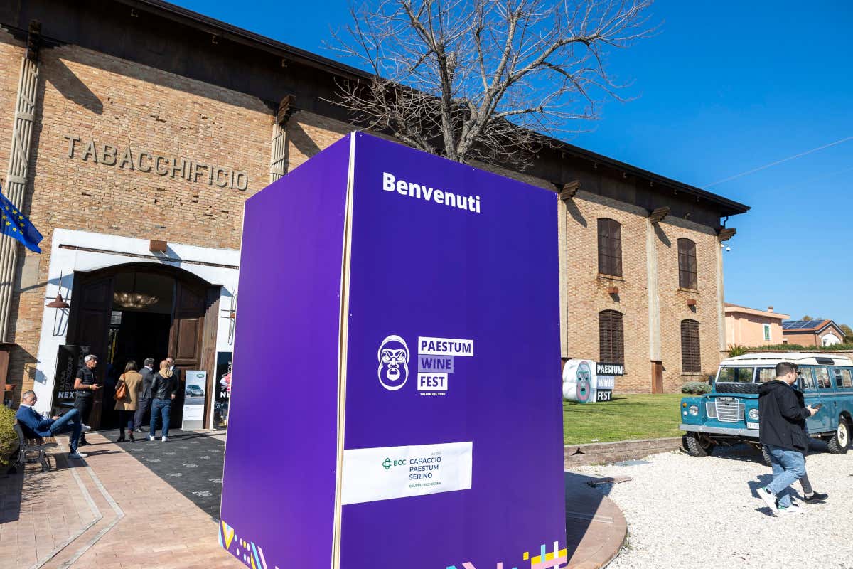 Paestum Wine Festival Paestum Wine Festival bilancio record per l'edizione 2023
