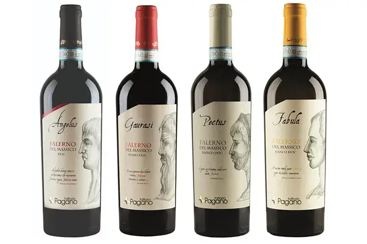 I vini Falerno Doc di Fattoria Pagano