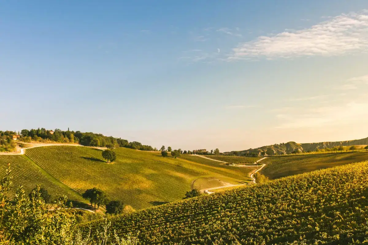 Palazzo di Varignana entra nel mondo dell&rsquo;enologia con quattro variet&agrave; di vini
