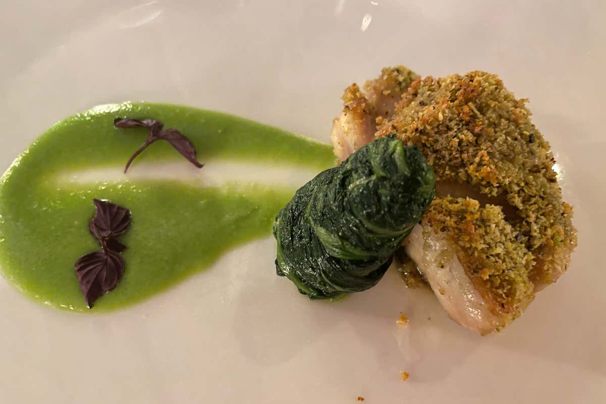 Ombrina in crosta di pistacchio, cicoria e crema di piselli Palazzo Montemartini, design eccezionale e sapore autentico