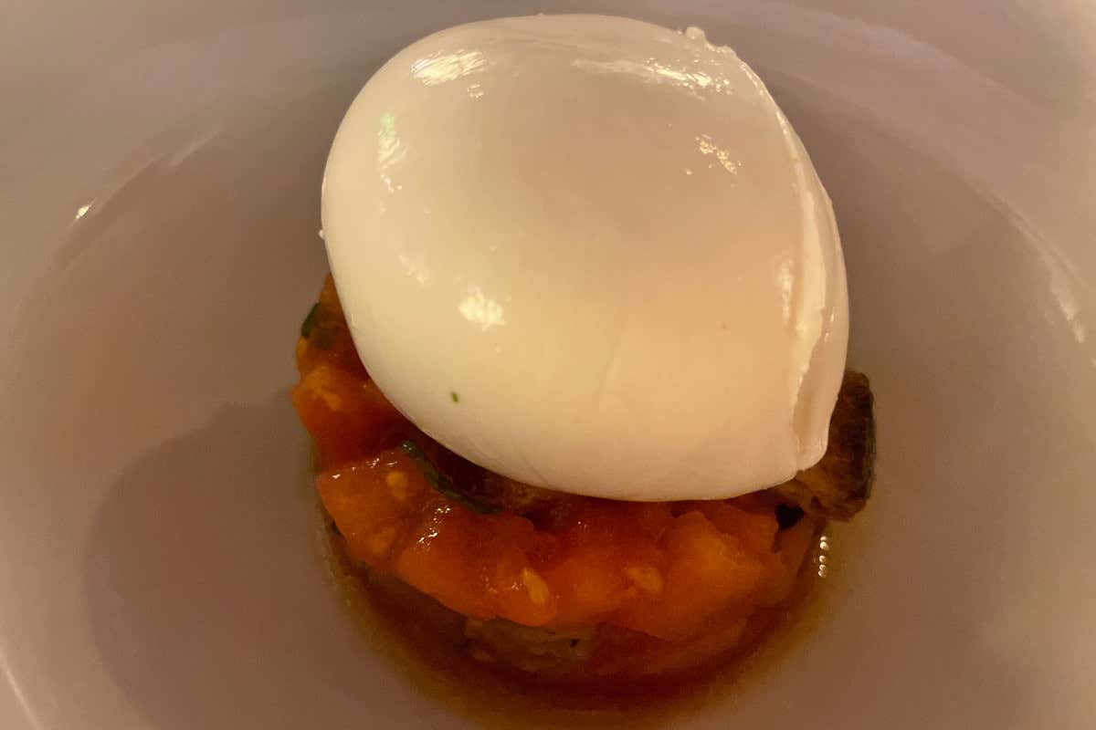 Panzanella di bufala Mozzarella di bufala, panzanella, pomodori freschi e semi secchi, pesto Palazzo Montemartini, design eccezionale e sapore autentico