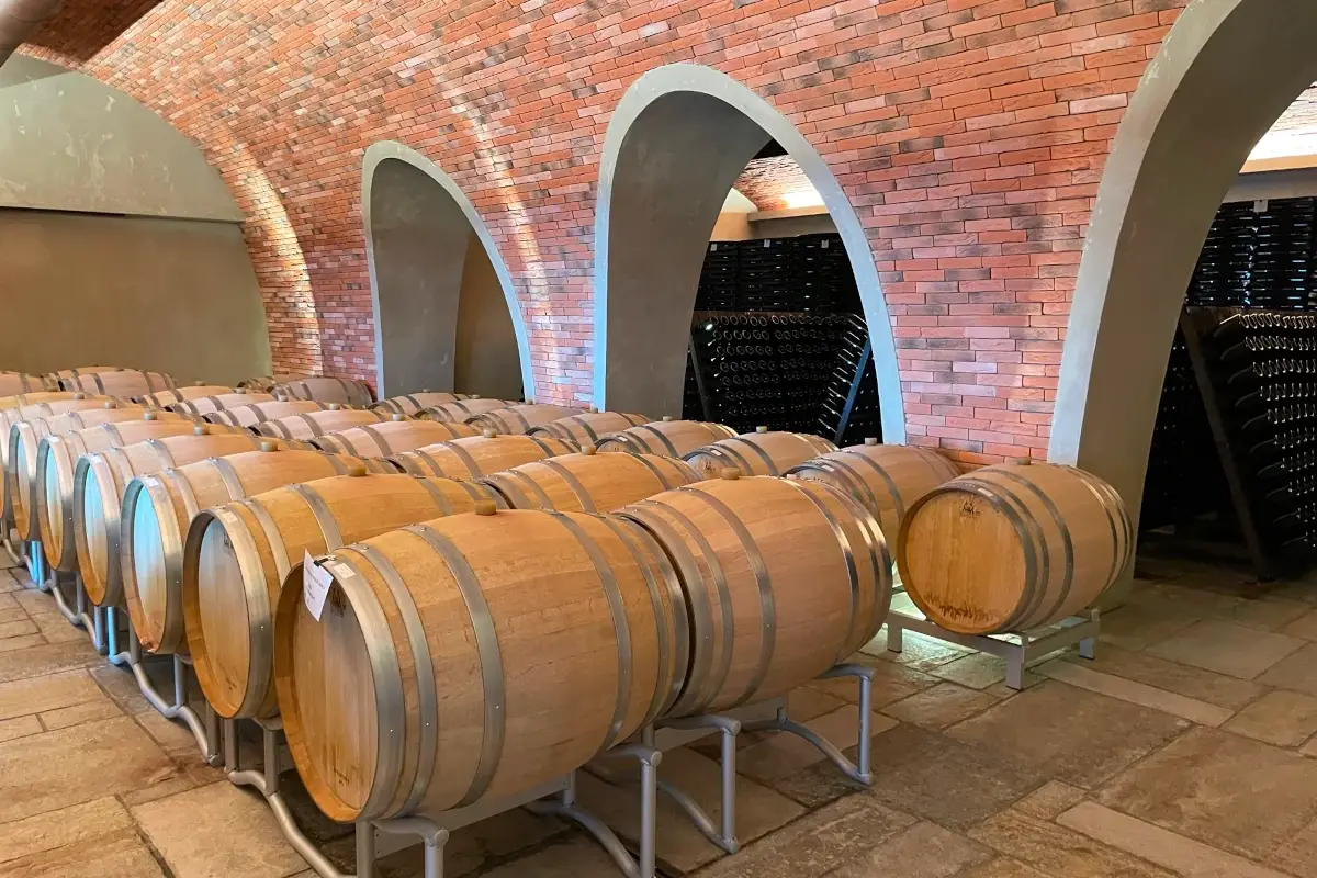 L’azienda agricola di Palazzo di Varignana dispone di sua nuova cantina che si estende su 1100 mq  “Adotta un Olivo”, il gesto d'amore di Palazzo di Varignana per il futuro