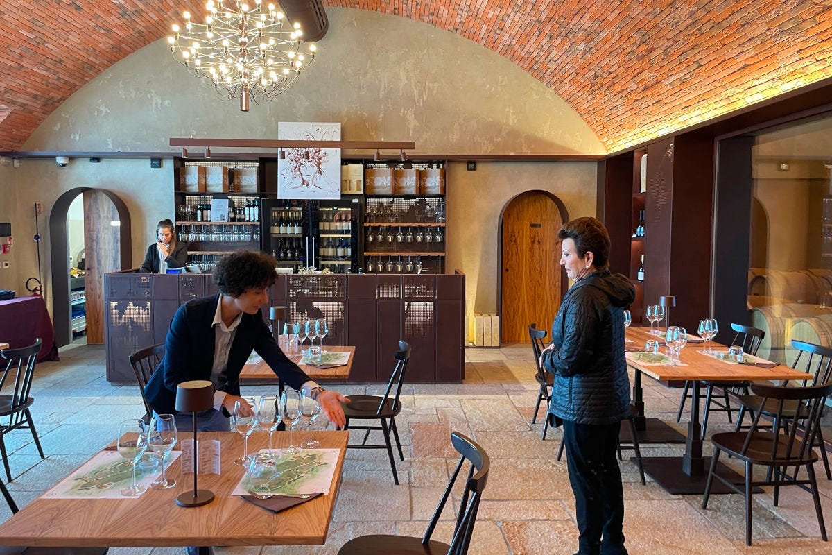 La visione di Palazzo di Varignana è produrre vini che raccontino la forza e l'identità del territorio  “Adotta un Olivo”, il gesto d'amore di Palazzo di Varignana per il futuro