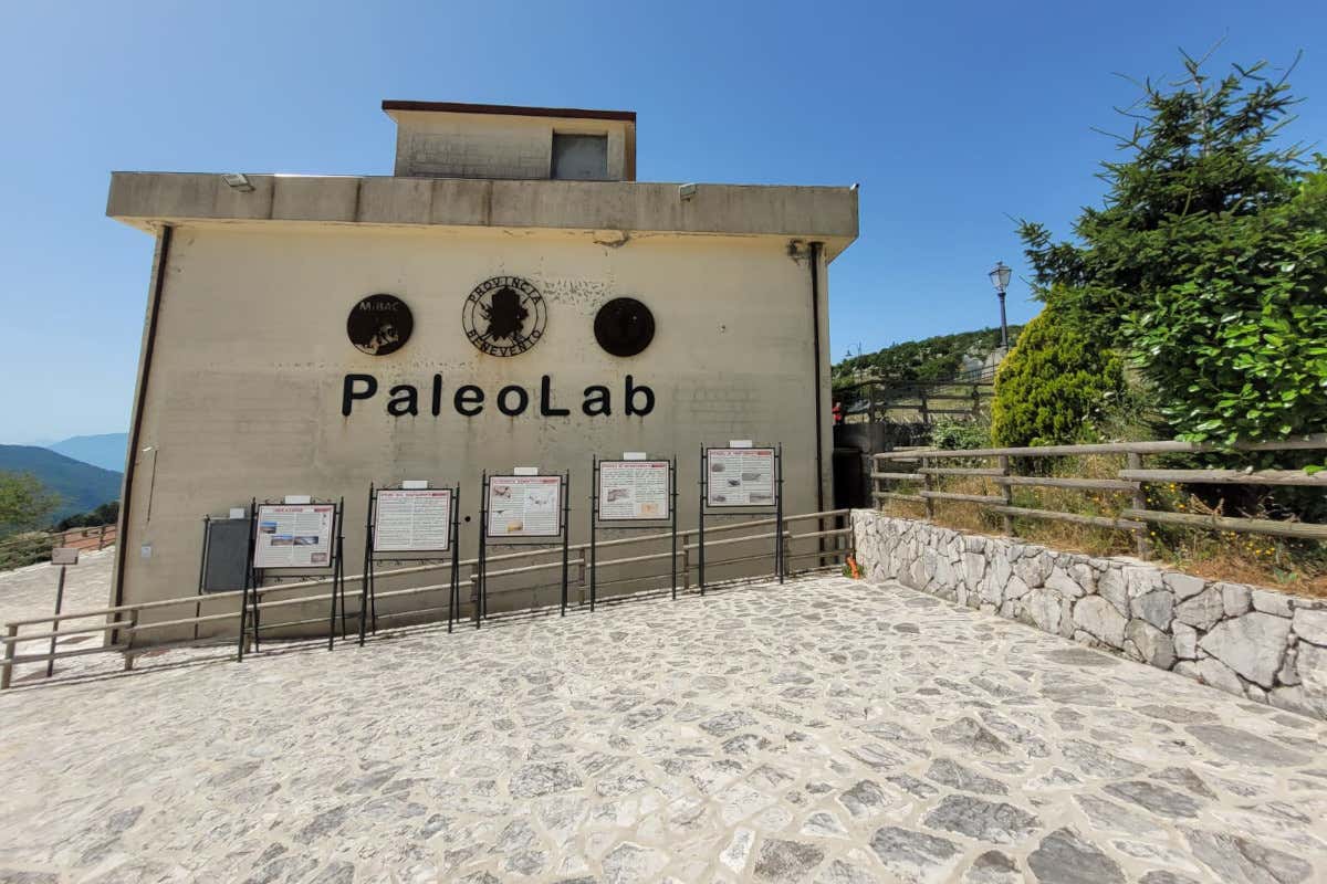 Benevento e il Sannio: vini, accoglienza e storia millenaria 