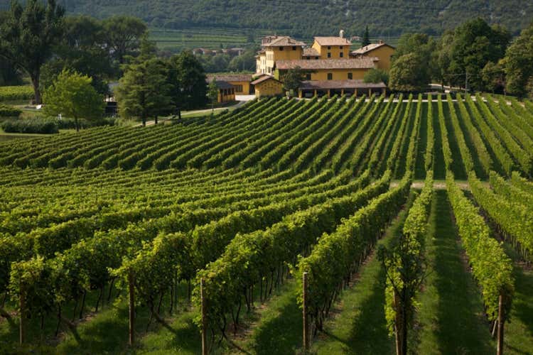 La finale del Palio delle Botti si svolger&agrave; nell'ambito di Uva e Dintorni (Il Palio Nazionale delle BottiLa finale a Uva e dintorni)