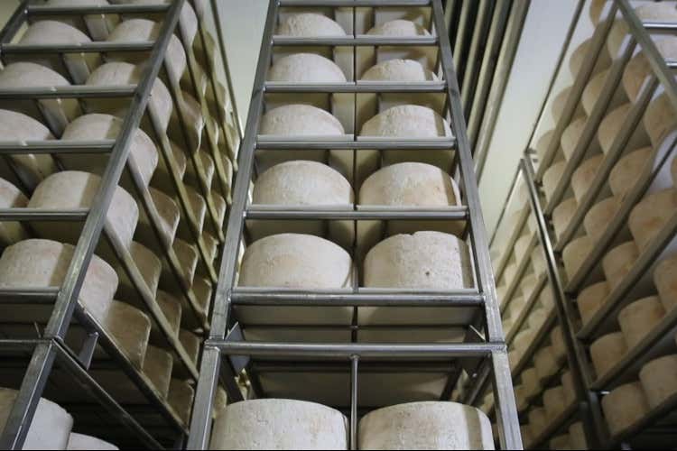 Una visita al caseificio Palzola per osservare come nasce il Gorgonzola Dop