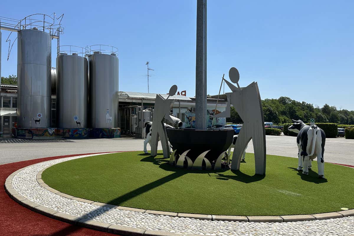 Una visita al caseificio Palzola per osservare come nasce il Gorgonzola Dop Una visita al caseificio Palzola per osservare come nasce il Gorgonzola Dop