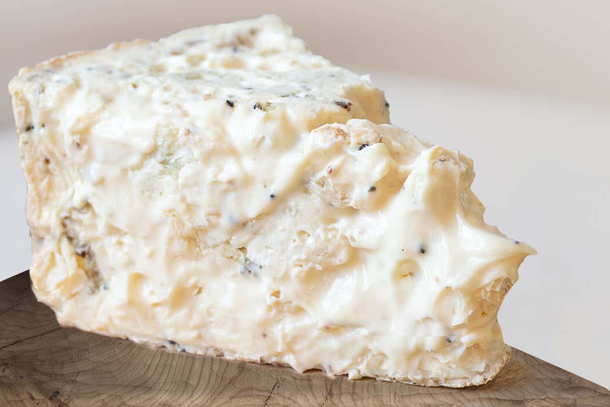 Una visita al caseificio Palzola per osservare come nasce il Gorgonzola Dop Una visita al caseificio Palzola per osservare come nasce il Gorgonzola Dop
