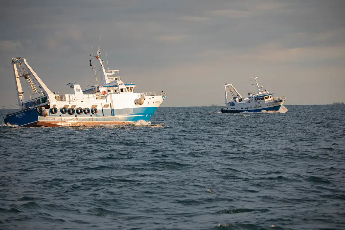 Il caro gasolio fa schizzare anche il prezzo del pesce